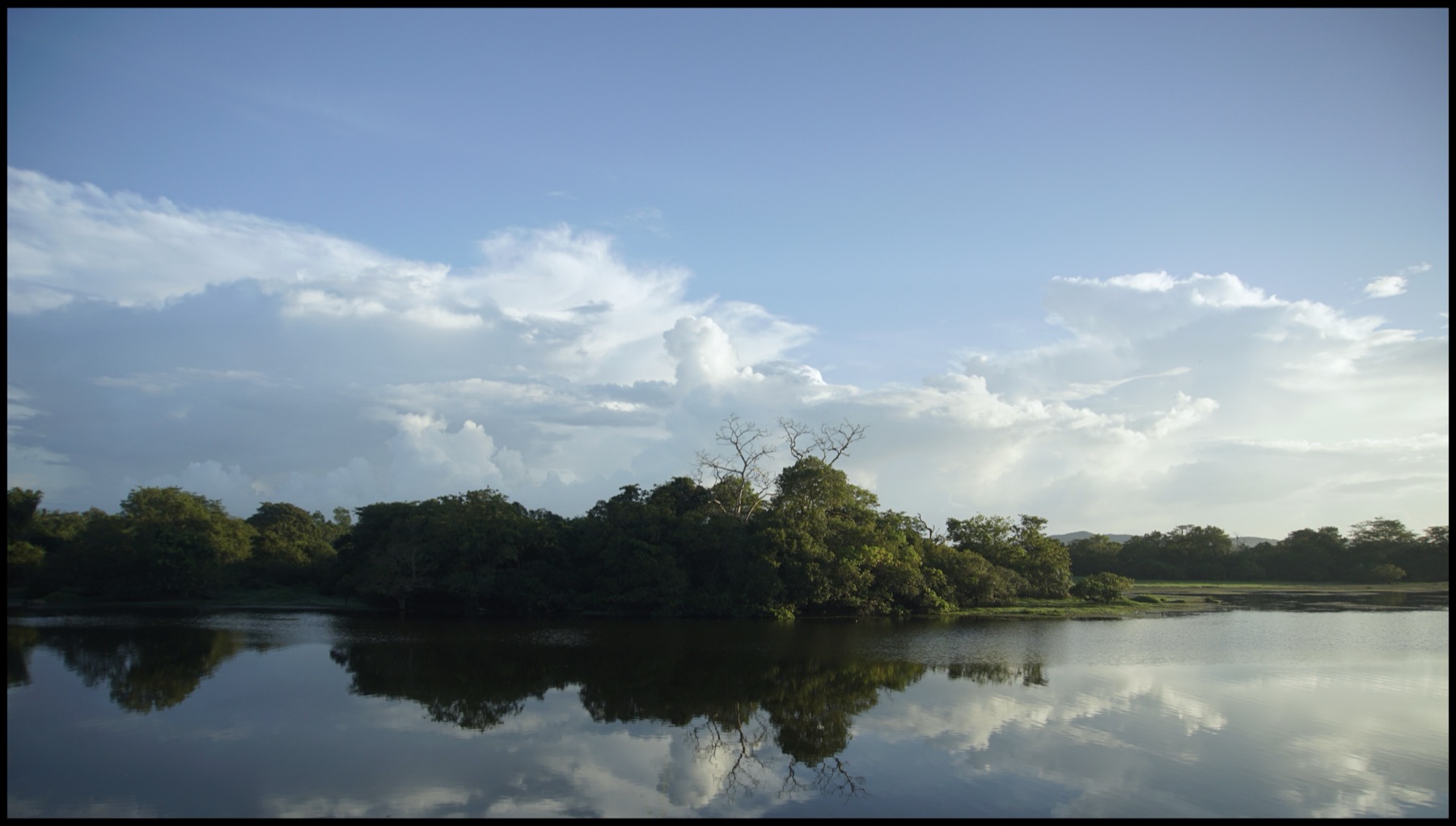 A still lake reflecting clouds and trees at dusk